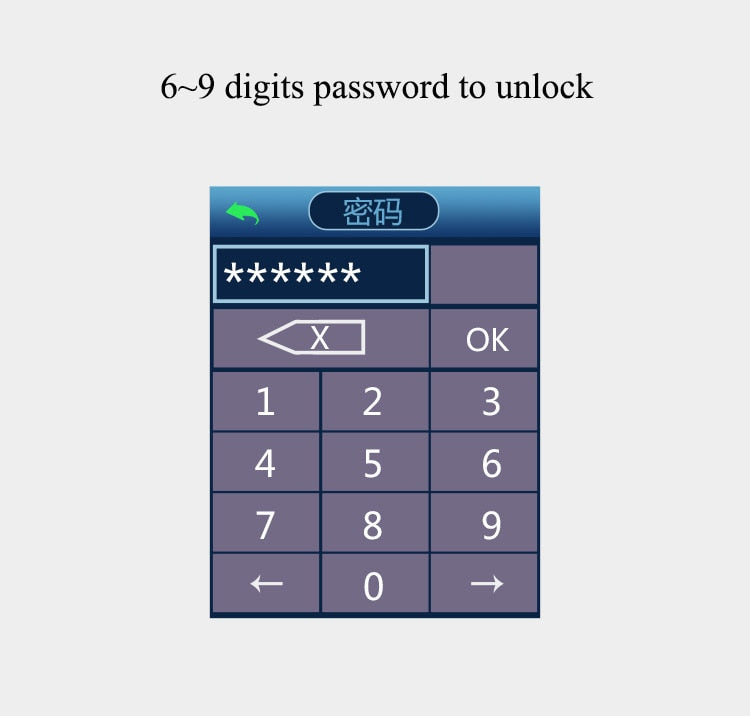 Smart Face Facial Recognition Door Lock