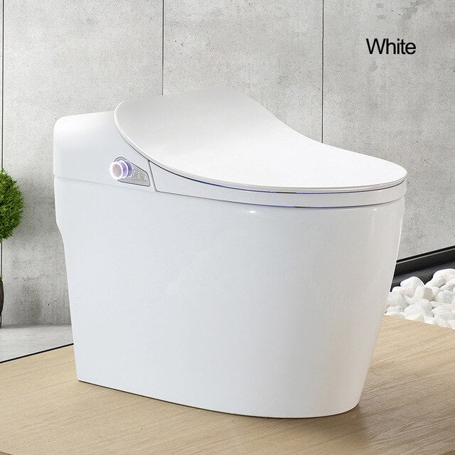 Intelligent Toilet - Remote Controlled