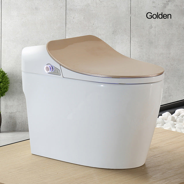 Intelligent Toilet - Remote Controlled