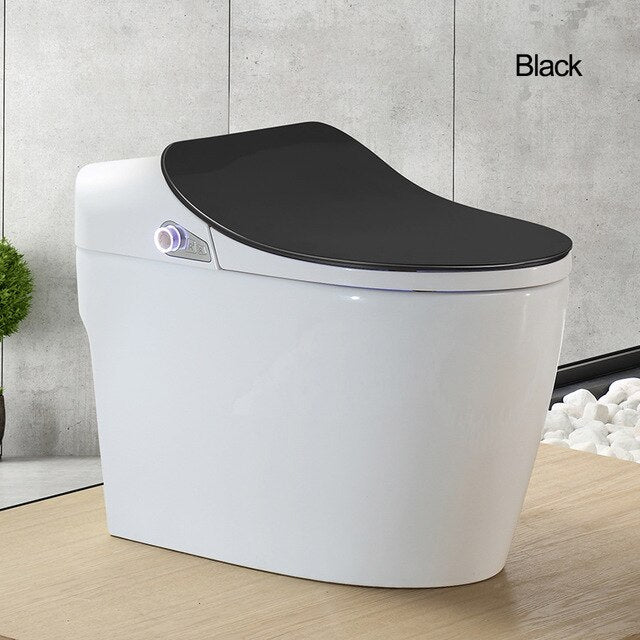 Intelligent Toilet - Remote Controlled
