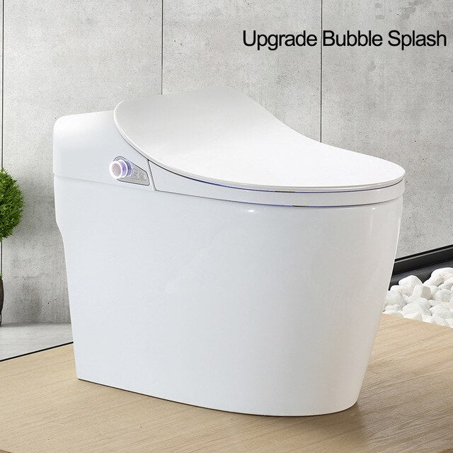 Intelligent Toilet - Remote Controlled