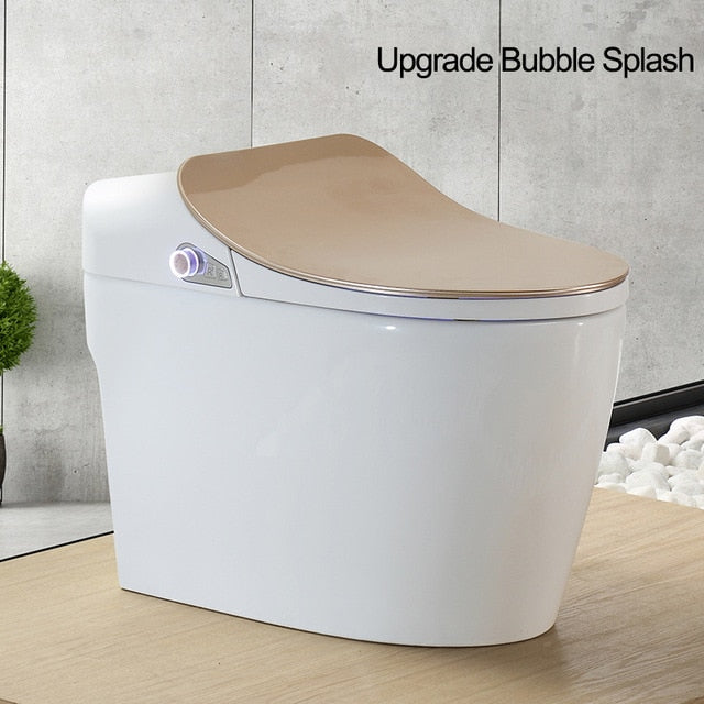 Intelligent Toilet - Remote Controlled