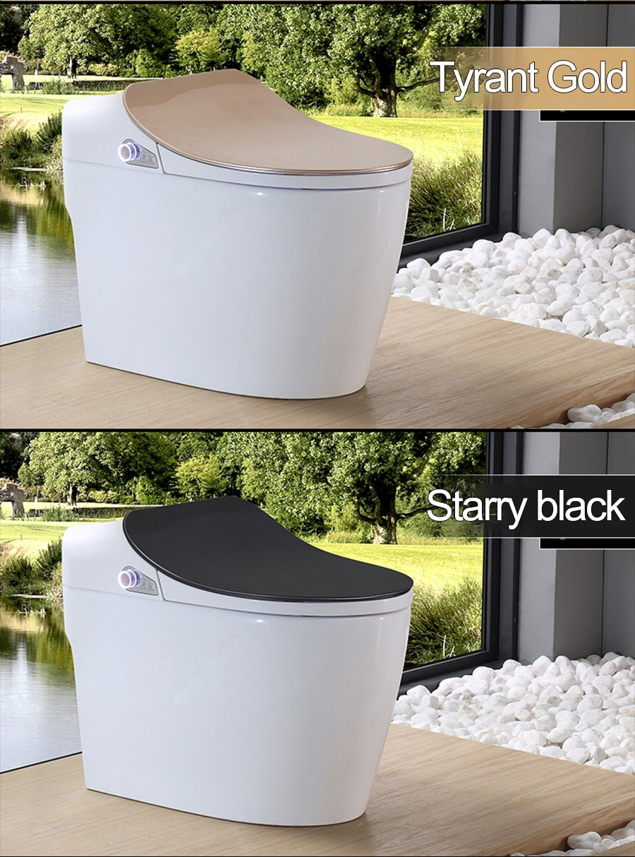 Intelligent Toilet - Remote Controlled