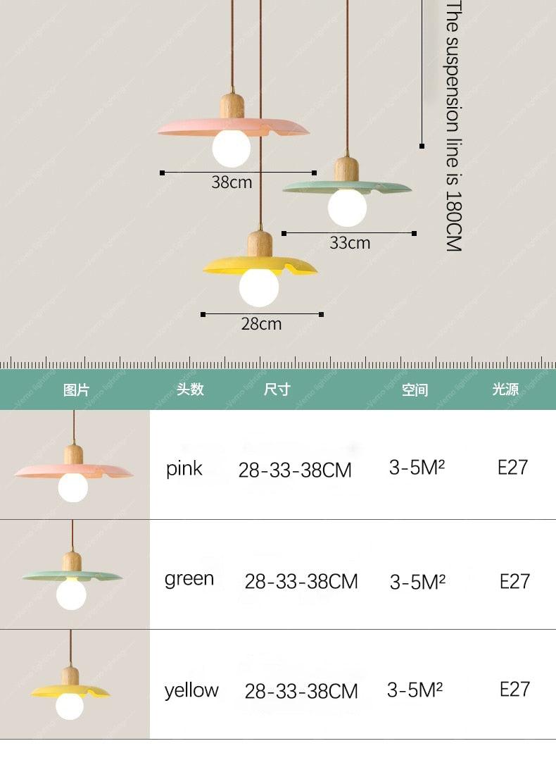 Modern Pendant Light Ceiling Chandelier DIA 25/28CM