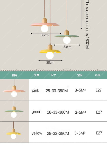 Modern Pendant Light Ceiling Chandelier DIA 25/28CM