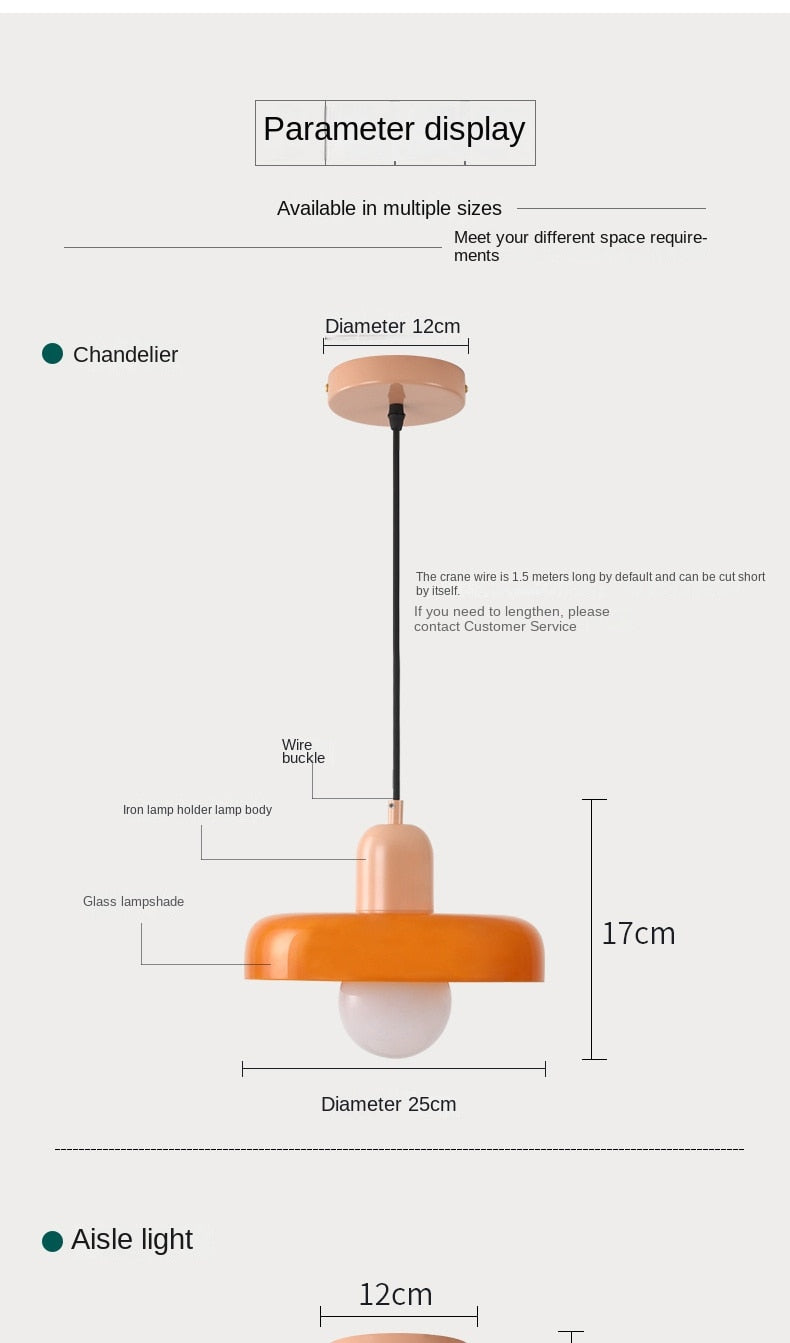 Modern Pendant Light Ceiling Chandelier DIA 25/28CM