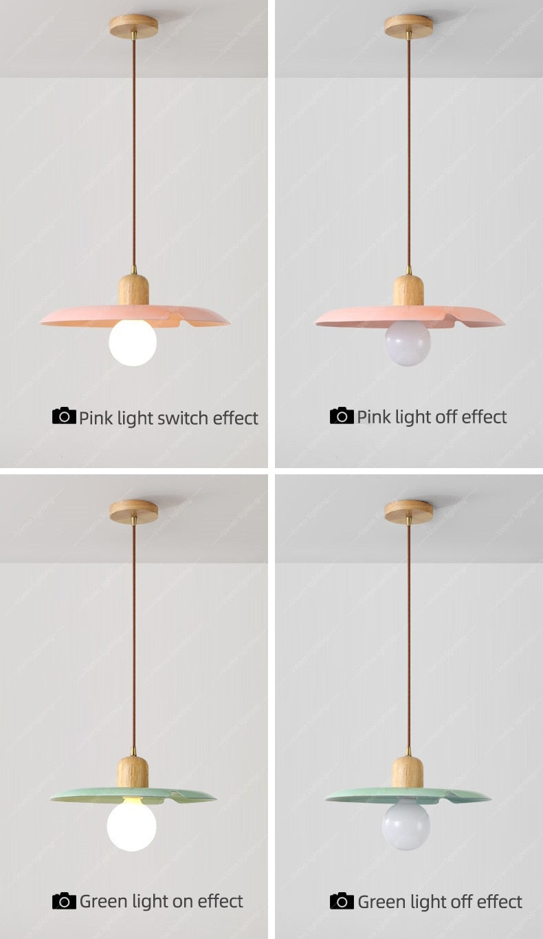 Modern Pendant Light Ceiling Chandelier DIA 25/28CM