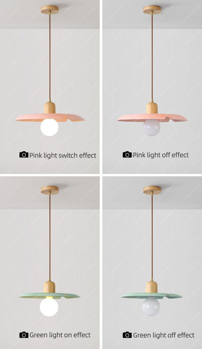 Modern Pendant Light Ceiling Chandelier DIA 25/28CM