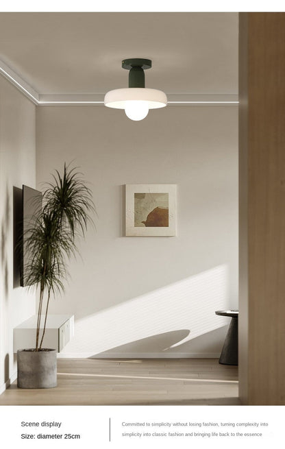 Modern Pendant Light Ceiling Chandelier DIA 25/28CM