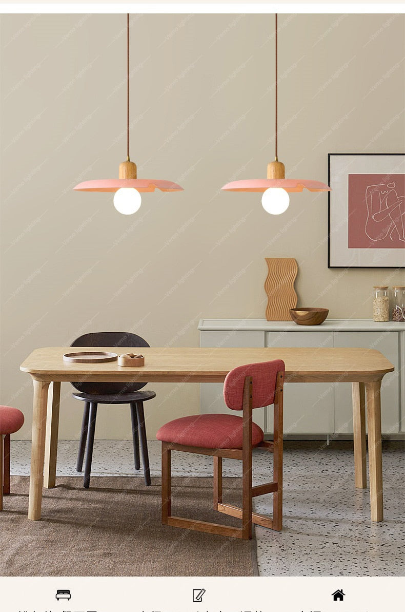 Modern Pendant Light Ceiling Chandelier DIA 25/28CM