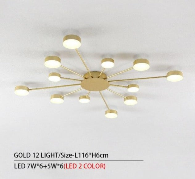Drexel - Irregular Spoke Round Ceiling Light