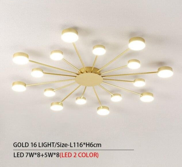 Drexel - Irregular Spoke Round Ceiling Light