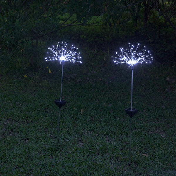 LED Solar Light