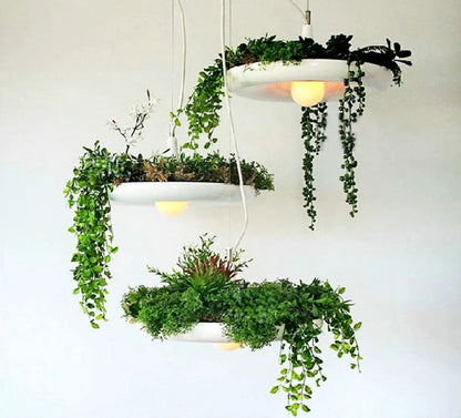 Mauricio - Modern Planter Lampshade